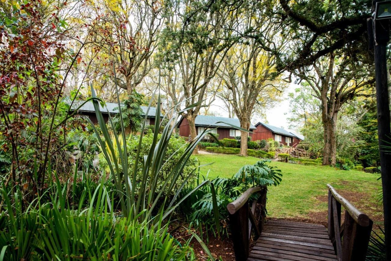 Naro Moru River Lodge ภายนอก รูปภาพ
