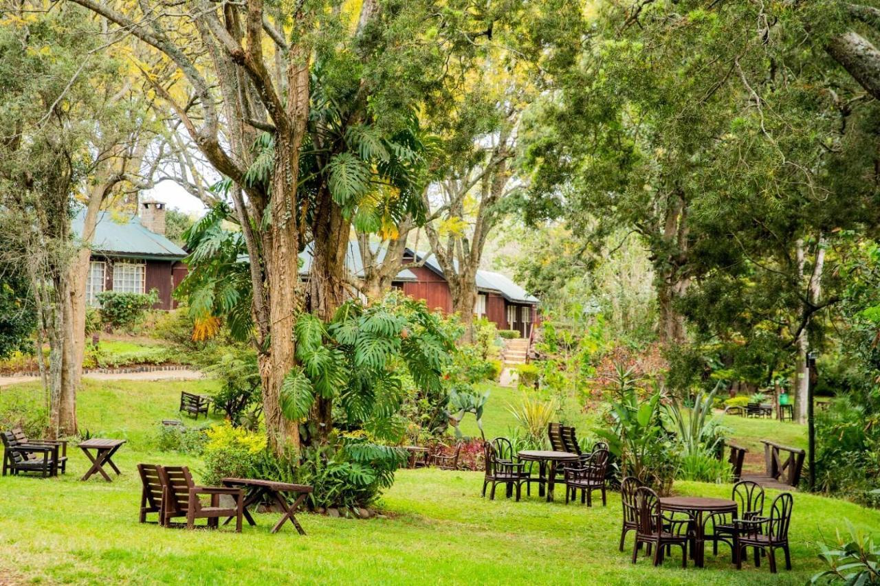 Naro Moru River Lodge ภายนอก รูปภาพ