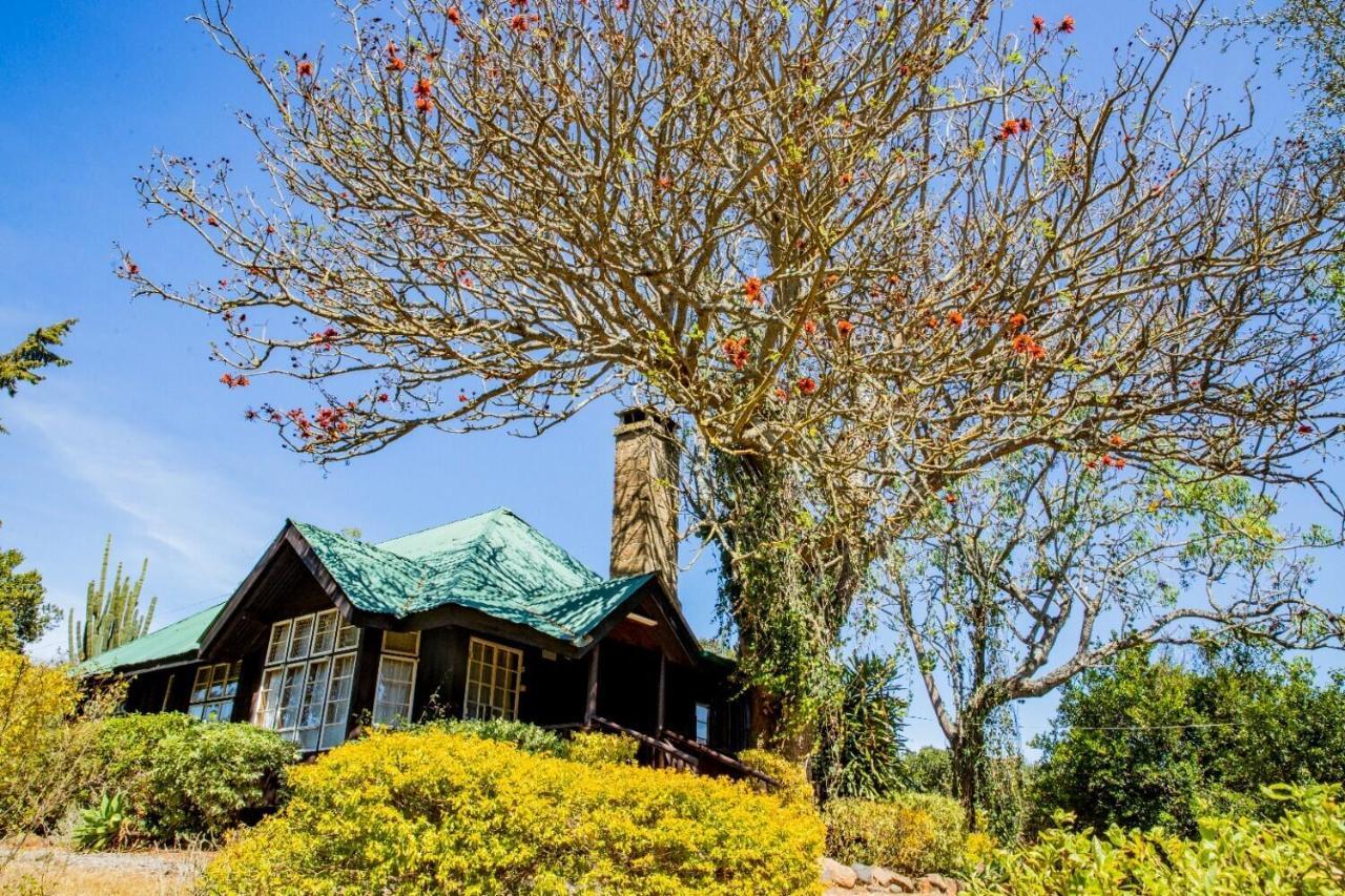 Naro Moru River Lodge ภายนอก รูปภาพ
