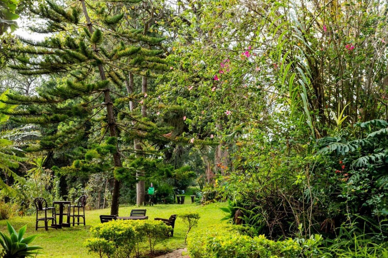 Naro Moru River Lodge ภายนอก รูปภาพ