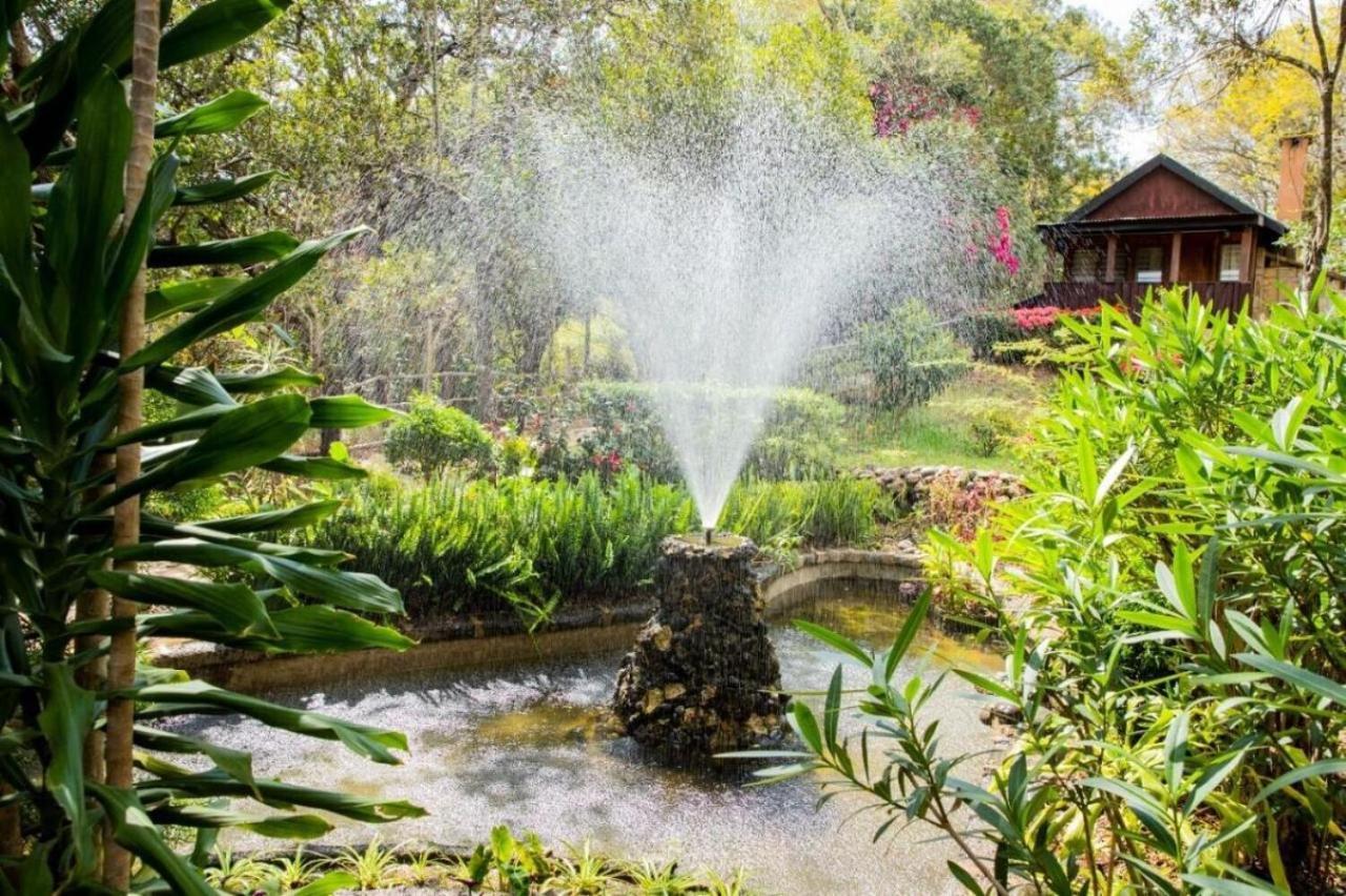 Naro Moru River Lodge ภายนอก รูปภาพ